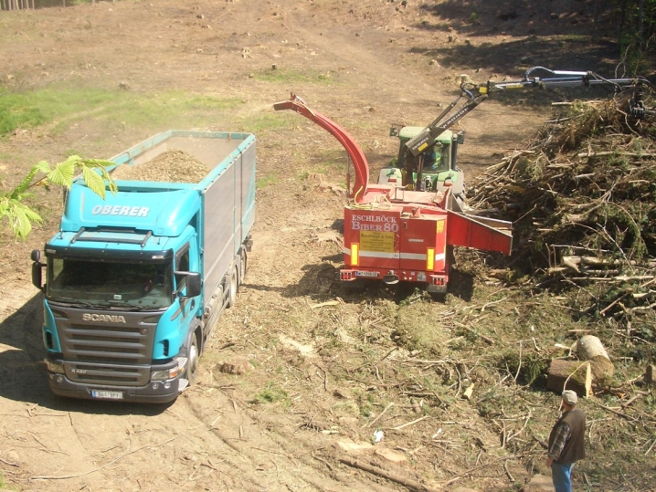 Biomasse Hackgut aus der Steiermark